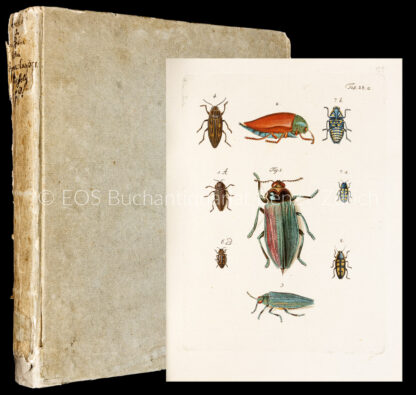 Füssli, Johann Caspar: -Archiv der Insectengeschichte. Herausgegeben von Johann Caspar Füessly.